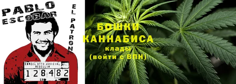 МАРИХУАНА SATIVA & INDICA  Енисейск 